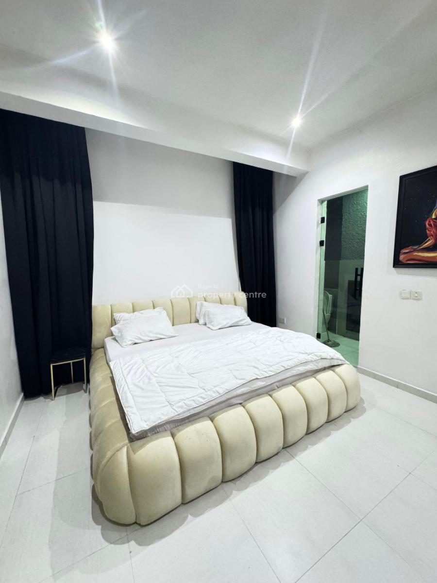 Tastefully Furnished 2 Bedroom Apartment, Ikate, Lekki, Lagos, Flat / Apartment for Rent