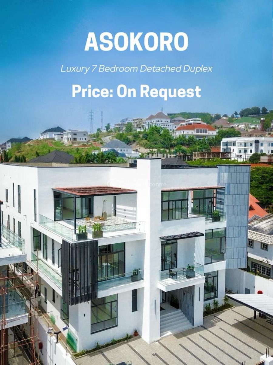 Luxury Smart Furnished 8bedroom Duplex with Swimming Pool, Asokoro Main, Asokoro District, Abuja, Detached Duplex for Sale