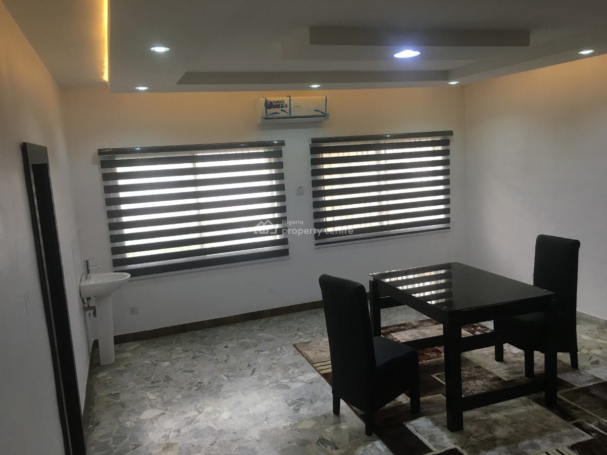 2nos Furnished 2bedrooms Flat and a Miniflat with Pool,bq, Corona School, Anthony, Maryland, Lagos, Detached Duplex for Rent