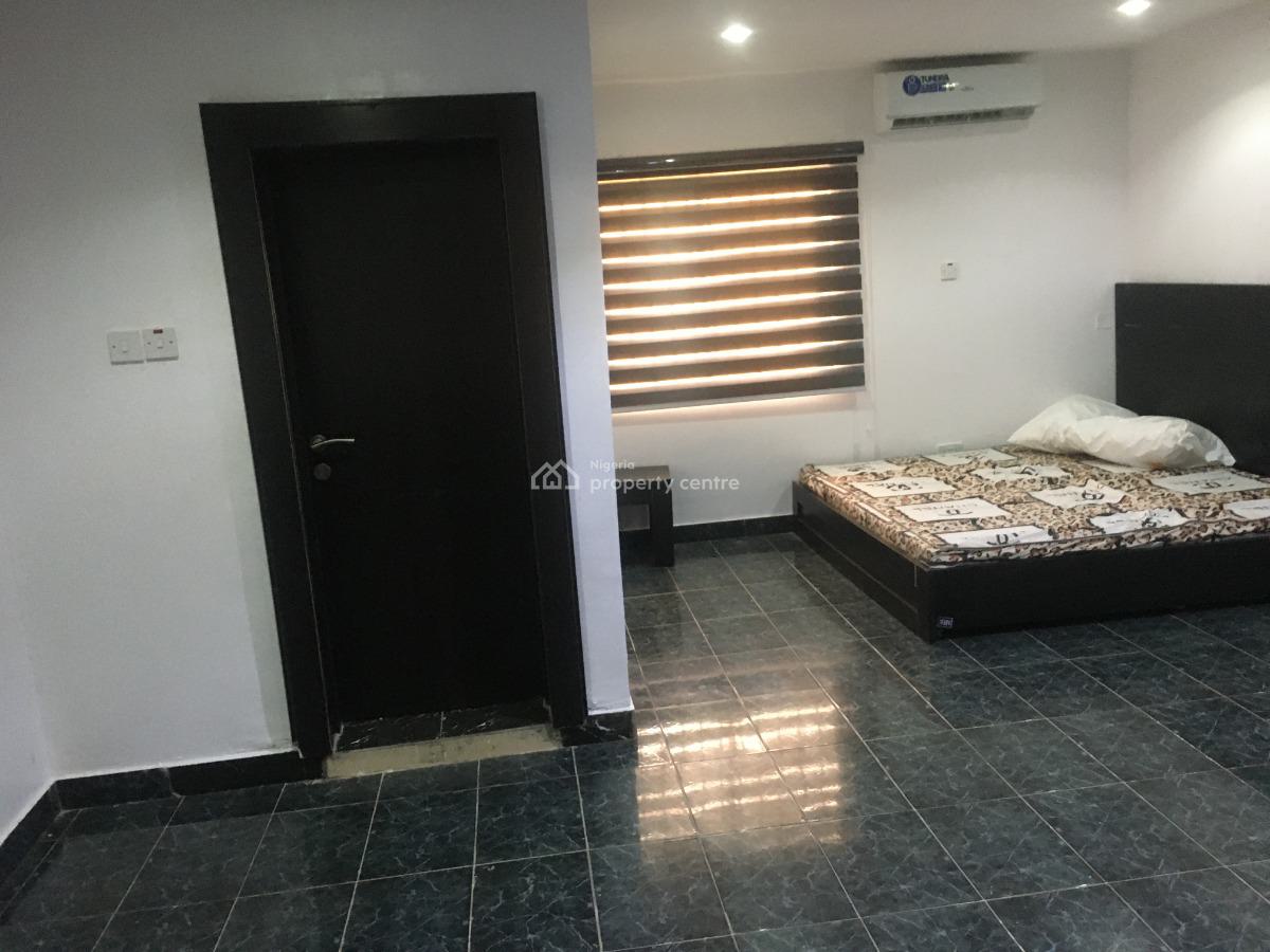 2nos Furnished 2bedrooms Flat and a Miniflat with Pool,bq, Corona School, Anthony, Maryland, Lagos, Detached Duplex for Rent