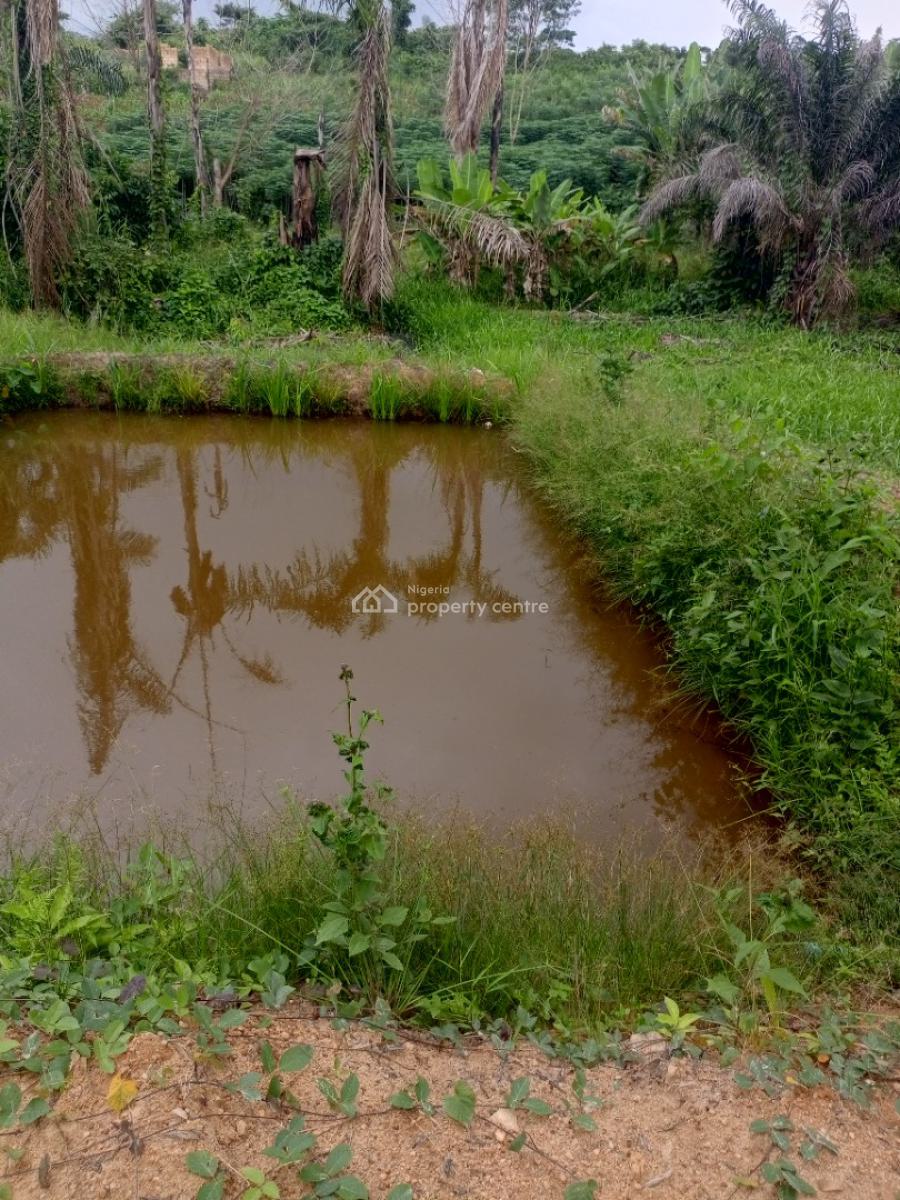 6 Fish Pond on One and Half Acres of Land, Apete, Ibadan, Samonda, Ibadan, Oyo, Factory for Sale