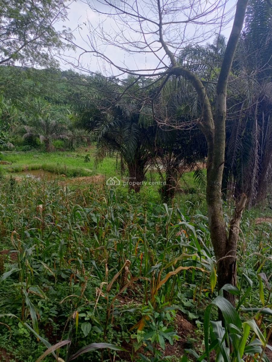 6 Fish Pond on One and Half Acres of Land, Apete, Ibadan, Samonda, Ibadan, Oyo, Factory for Sale