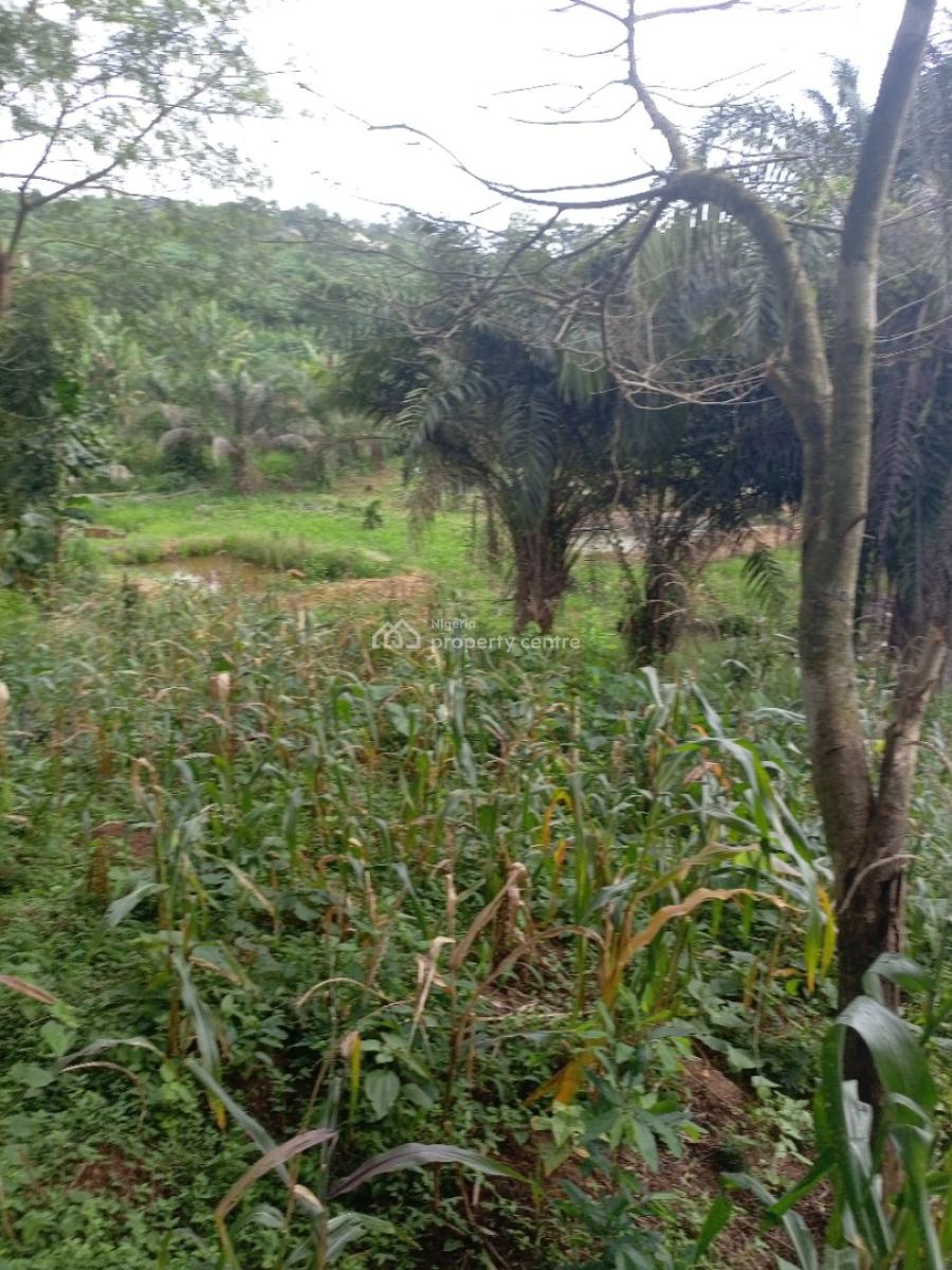 6 Fish Pond on One and Half Acres of Land, Apete, Ibadan, Samonda, Ibadan, Oyo, Factory for Sale