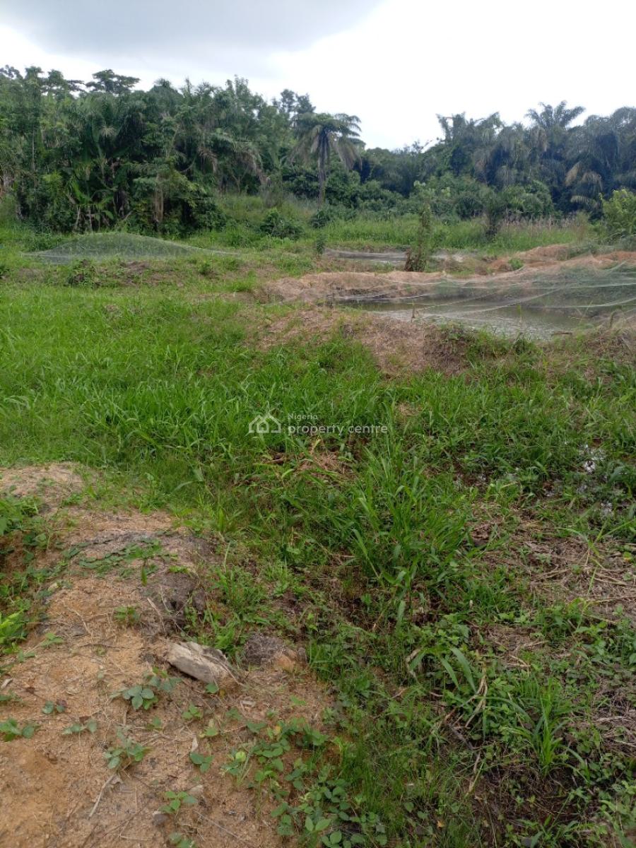 6 Fish Pond on One and Half Acres of Land, Apete, Ibadan, Samonda, Ibadan, Oyo, Factory for Sale