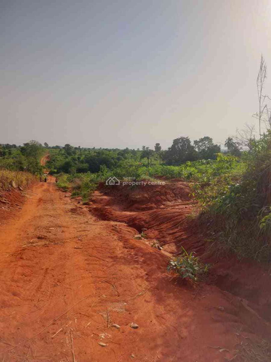 Investment Haven Where Modern Living Meets Timeless Elegance, International Airport Road, Anaocha, Anambra, Mixed-use Land for Sale