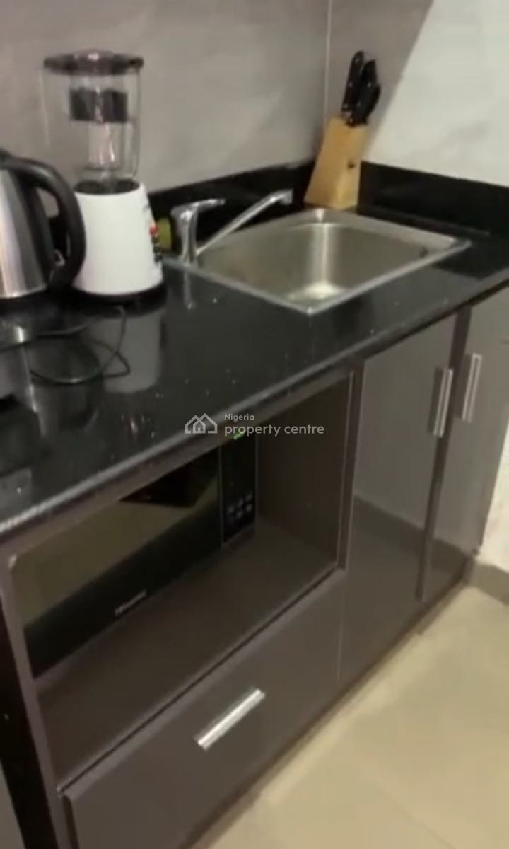 Fully Serviced and Furnished 0ne Bedroom, Victoria Island (vi), Lagos, Mini Flat (room and Parlour) for Rent