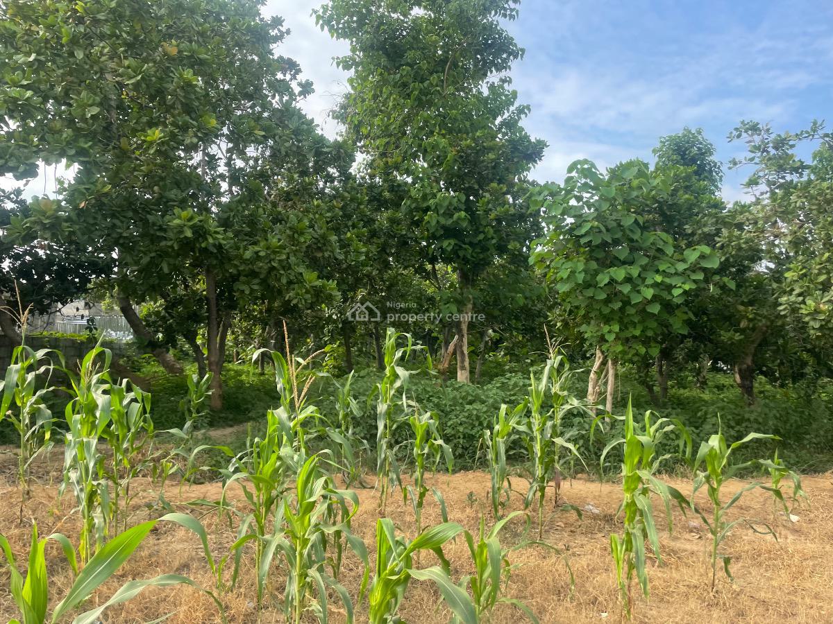 1,500sqm Land, Katampe, Abuja, Residential Land for Sale