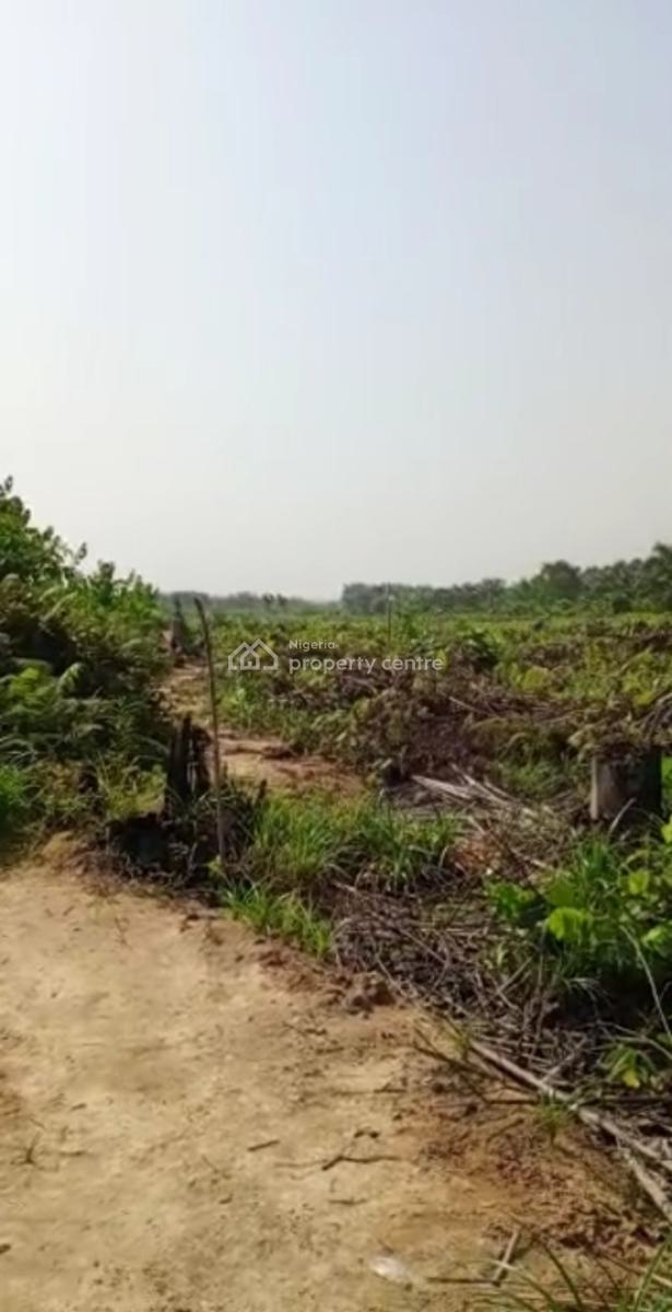 Very Affordable Land Deal, Onosa, Ibeju Lekki, Lagos, Mixed-use Land for Sale