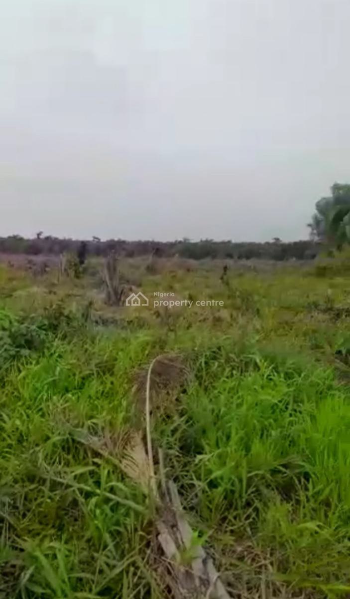 Very Affordable Land Deal, Onosa, Ibeju Lekki, Lagos, Mixed-use Land for Sale