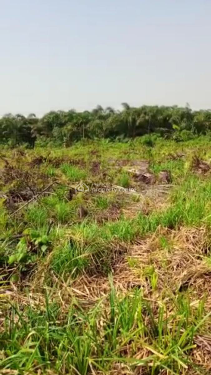 Very Affordable Land Deal, Onosa, Ibeju Lekki, Lagos, Mixed-use Land for Sale