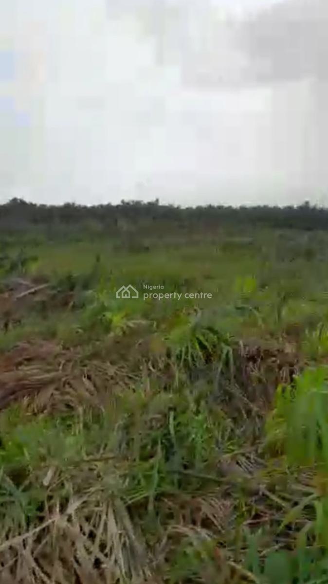Very Affordable Land Deal, Onosa, Ibeju Lekki, Lagos, Mixed-use Land for Sale