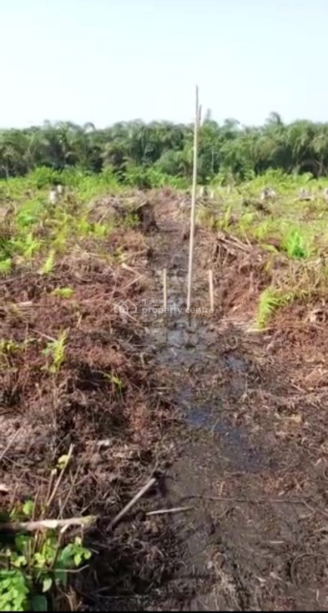 Very Affordable Land Deal, Onosa, Ibeju Lekki, Lagos, Mixed-use Land for Sale