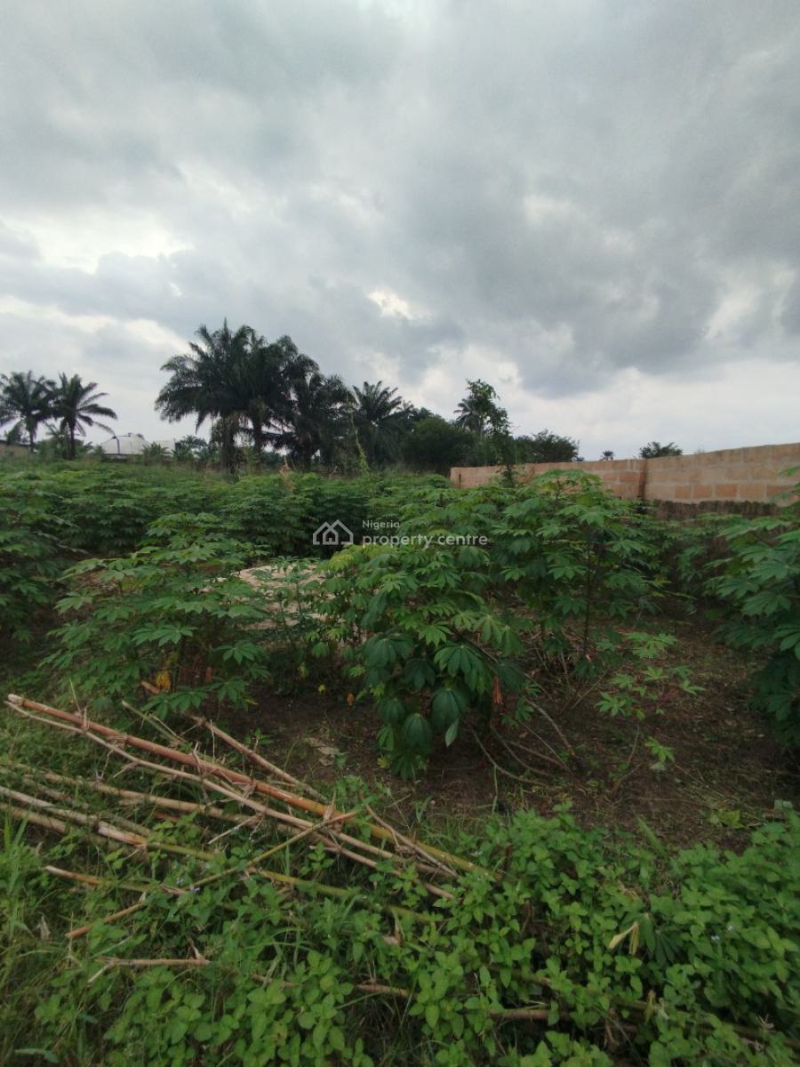 Fantastic Residential Land, Shelter Afrique Estate Extension, Uyo, Akwa Ibom, Residential Land for Sale