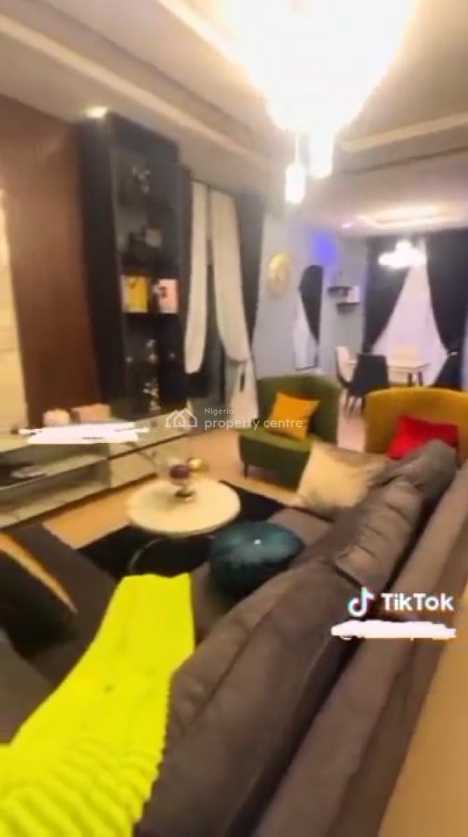Tastefully Furnished 2 Bedroom Apartment in Hot Location, Off Alhaji Masha Road, Surulere, Lagos, Flat / Apartment for Rent