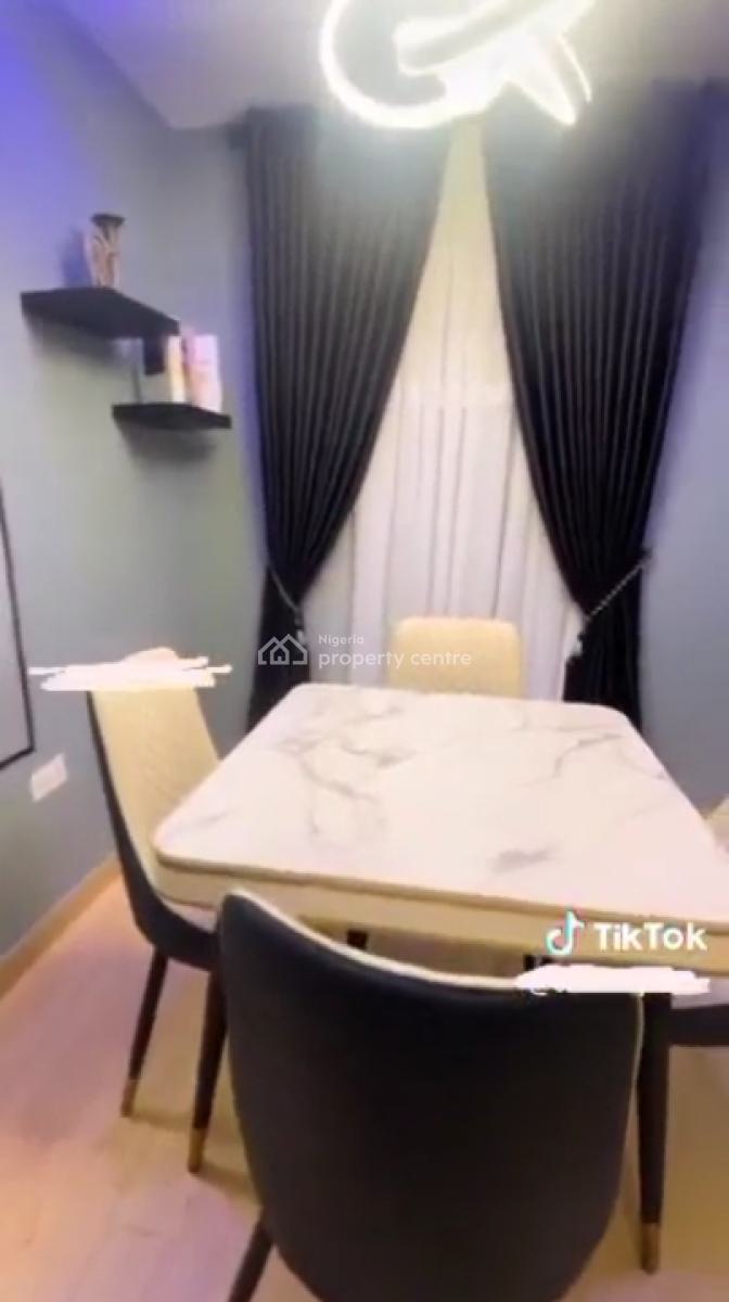 Tastefully Furnished 2 Bedroom Apartment in Hot Location, Off Alhaji Masha Road, Surulere, Lagos, Flat / Apartment for Rent