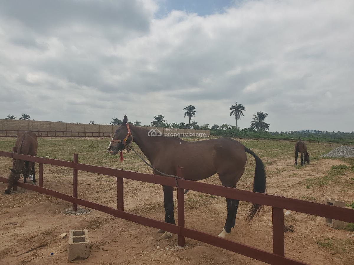 Cardiff Polo and Resort, Moniya, Ibadan, Oyo, Mixed-use Land for Sale