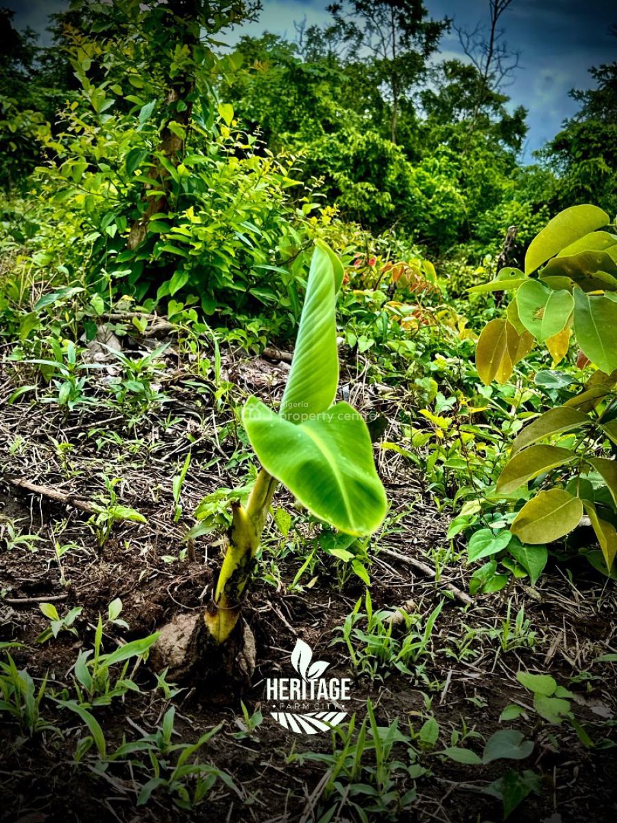 Acres and Hectares of Land with a Promo Offer & Flexible Payment Plan, Be a Part with 500k Deposit , Flexible Payment Plan Available, Abeokuta North, Ogun, Mixed-use Land for Sale