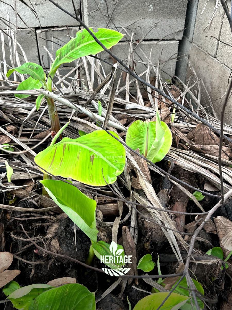 Acres and Hectares of Land with a Promo Offer & Flexible Payment Plan, Be a Part with 500k Deposit , Flexible Payment Plan Available, Abeokuta North, Ogun, Mixed-use Land for Sale