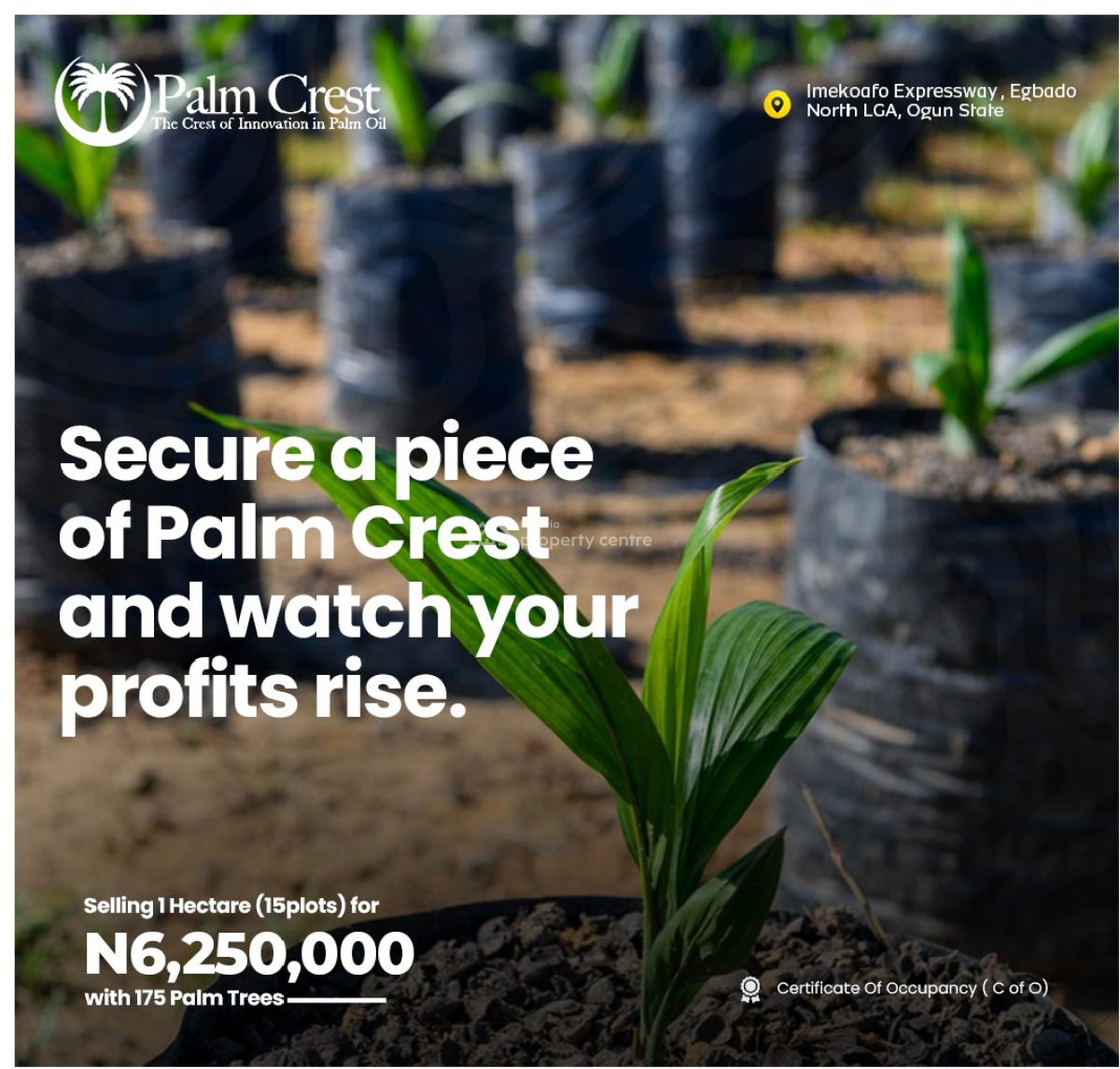 Exceptional and Affordable (c of O) Farm Land for Palm Tree/oil.ogun, Imekoafo Expressway,egbado  North Ogun Stat, Abeokuta North, Ogun, Commercial Land for Sale