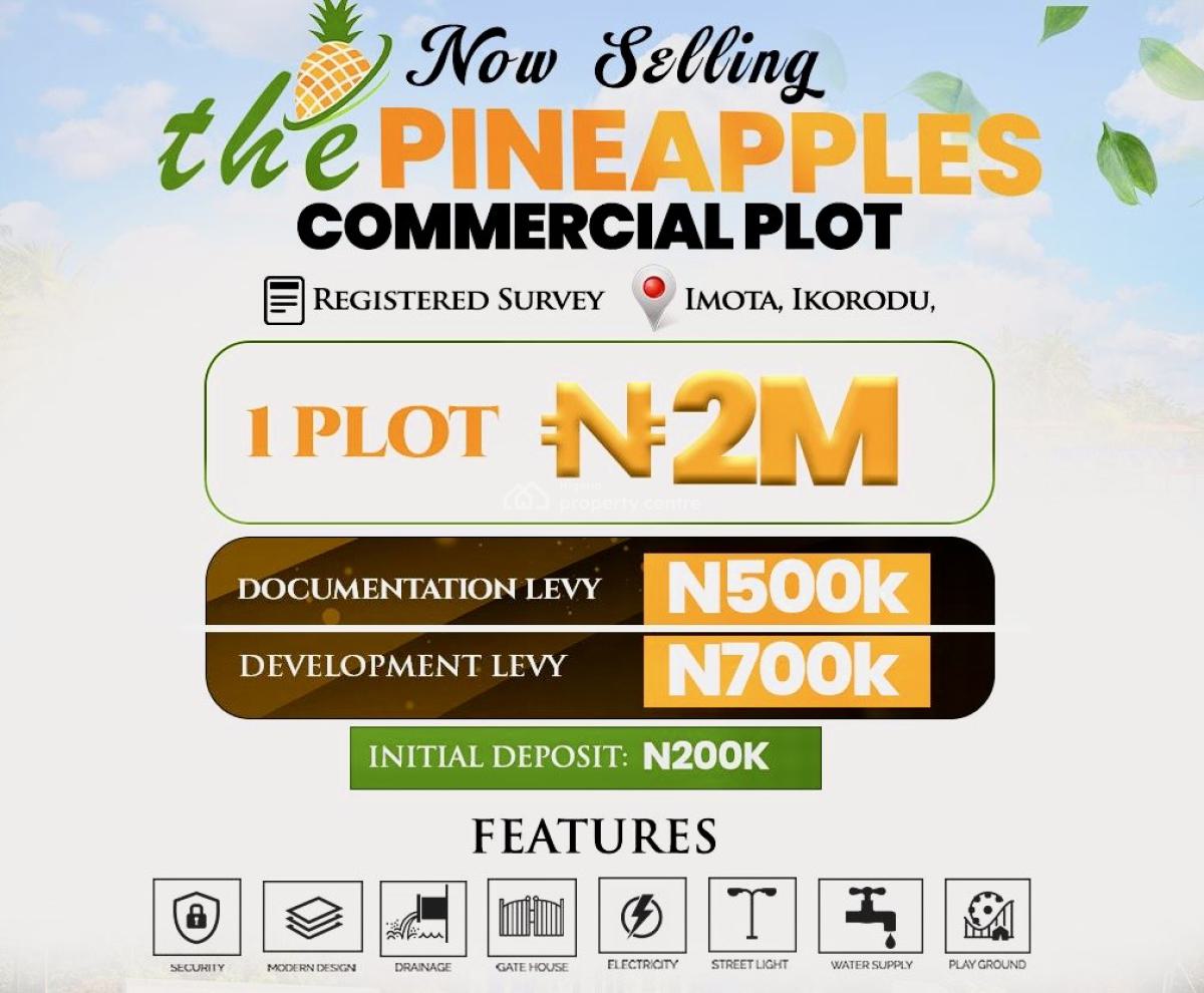 Affordable Land, Registered Survey, Imota, Ikorodu, Lagos, Mixed-use Land for Sale
