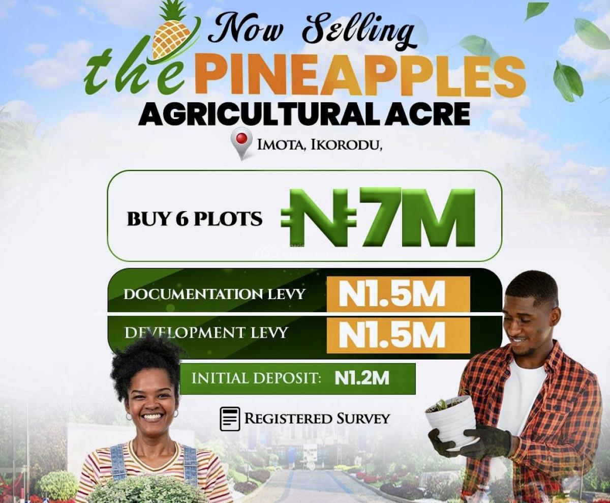 Affordable Land, Registered Survey, Imota, Ikorodu, Lagos, Mixed-use Land for Sale