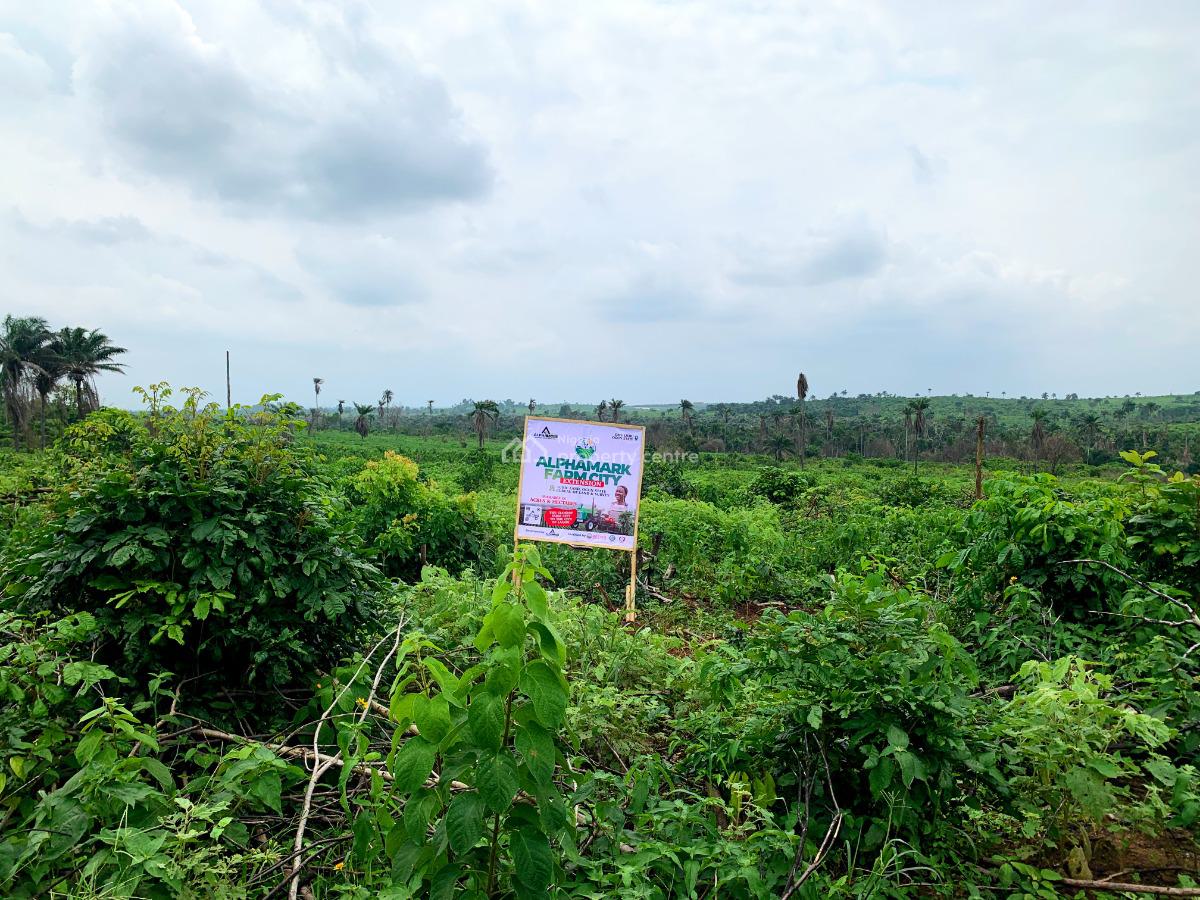 Rich Agric Farm Land, Omu Ijebu, Odogbolu, Ogun, Land for Sale