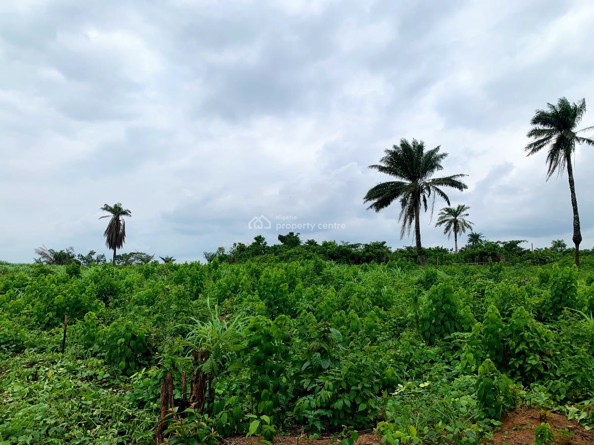 Rich Agric Farm Land, Omu Ijebu, Odogbolu, Ogun, Land for Sale
