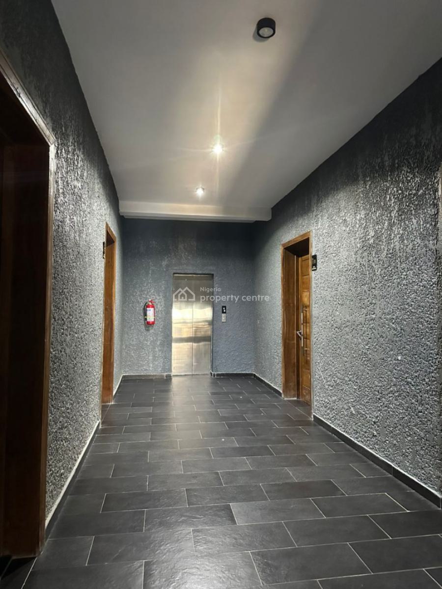 Luxury Fully Furnished 2 Bedroom Flat, Ikate, Lekki, Lagos, Flat / Apartment for Rent