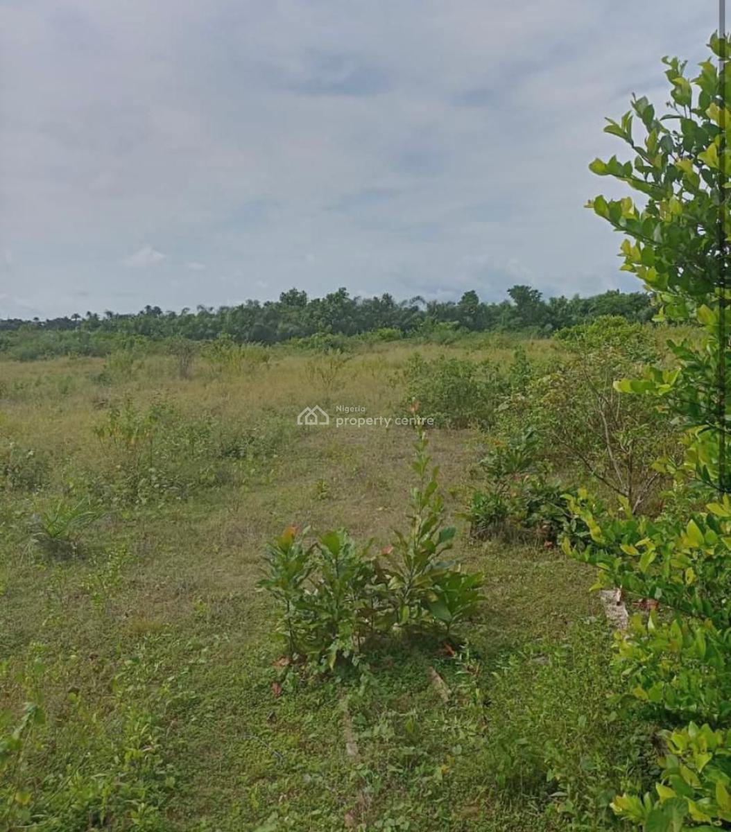 Land Measuring 2400sqm, Adedoyin Adeleke Street, Victoria Island (vi), Lagos, Land for Sale