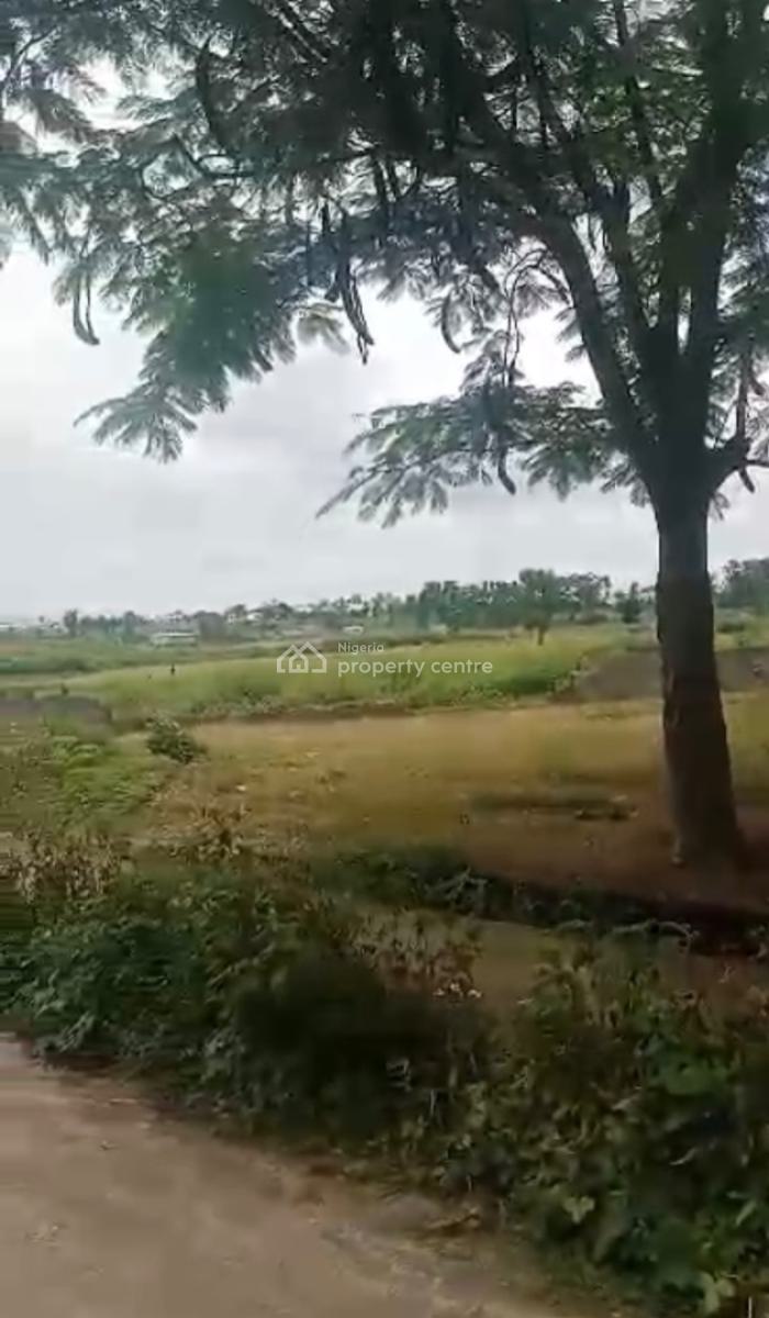 a Standard, Empty, Juicy Land, Jabi, Abuja, Mixed-use Land Joint Venture