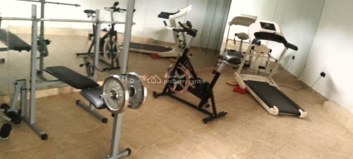 Fully Furnished Serviced with 24hrs Power, Swimming Pool, Gym, Off Durosimi Etti Street, Lekki Phase 1, Lekki, Lagos, Flat / Apartment for Rent