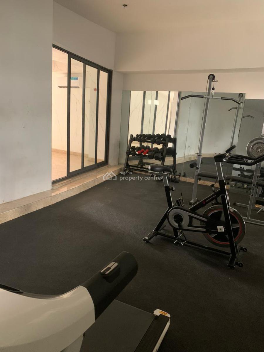 Fully Furnished Serviced with 24hrs Power, Swimming Pool, Gym, Off Durosimi Etti Street, Lekki Phase 1, Lekki, Lagos, Flat / Apartment for Rent