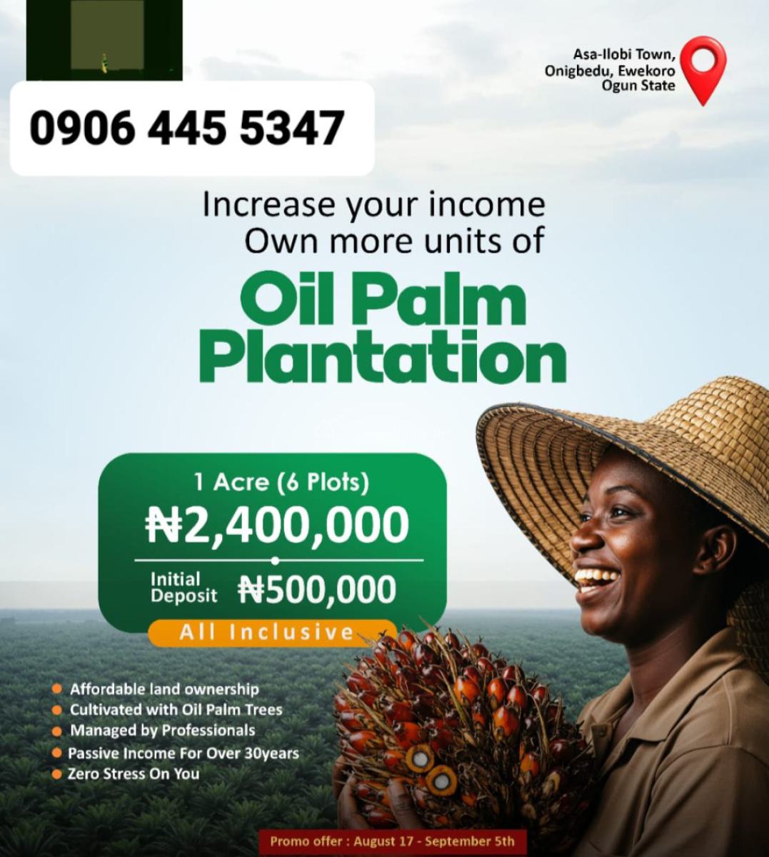 Acres of Oil Palm Trees Farmlands, Asa Ilobi Town Ilaro Road, Onigbedu, Ewekoro, Ogun, Commercial Land for Sale