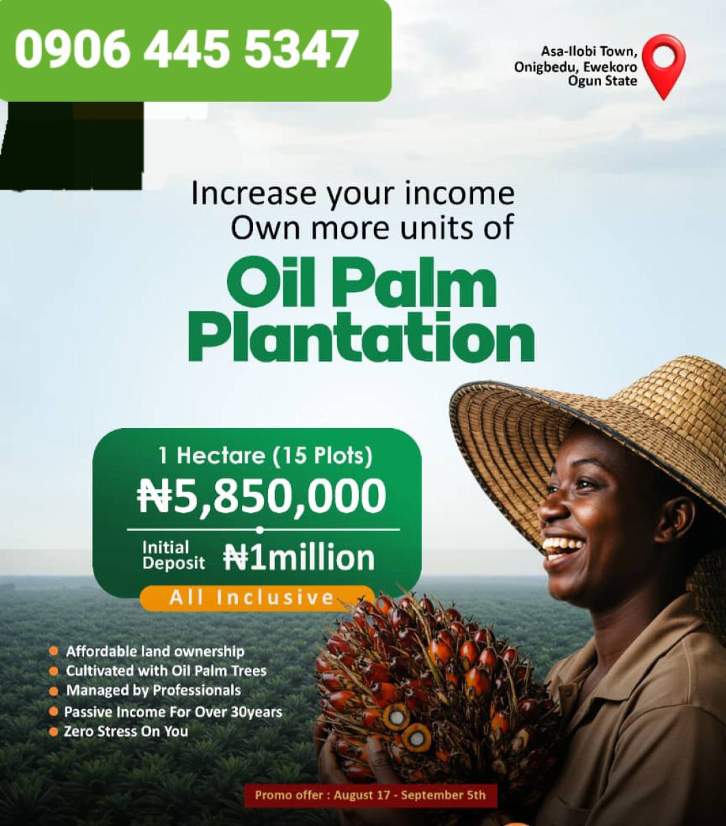 Acres of Oil Palm Trees Farmlands, Asa Ilobi Town Ilaro Road, Onigbedu, Ewekoro, Ogun, Commercial Land for Sale
