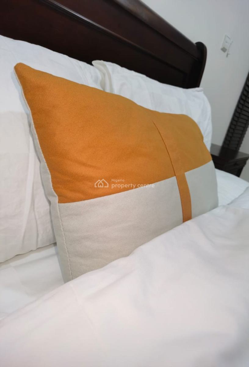 2 Bedroom Apartment in Ikoyi (furnished), Ikoyi, Lagos, Flat / Apartment Short Let