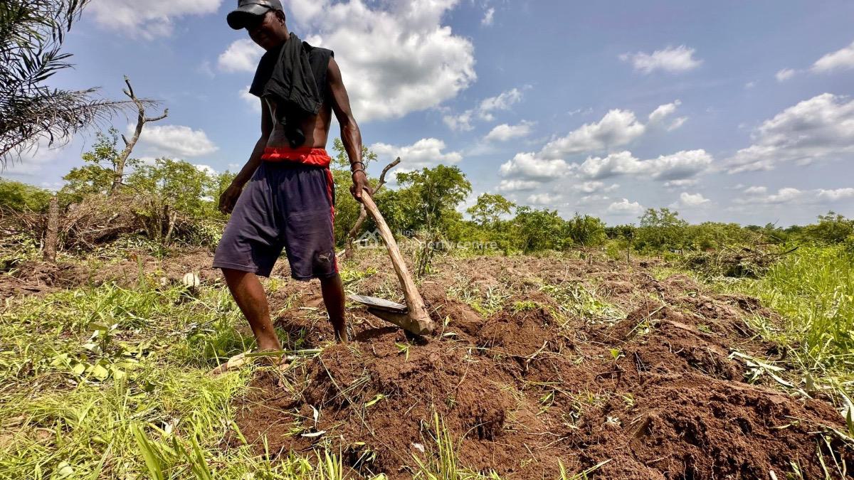 Fertile Farmland for Ideal Crops Cultivation, Alabata, Off Funnab, Abeokuta South, Ogun, Mixed-use Land for Sale