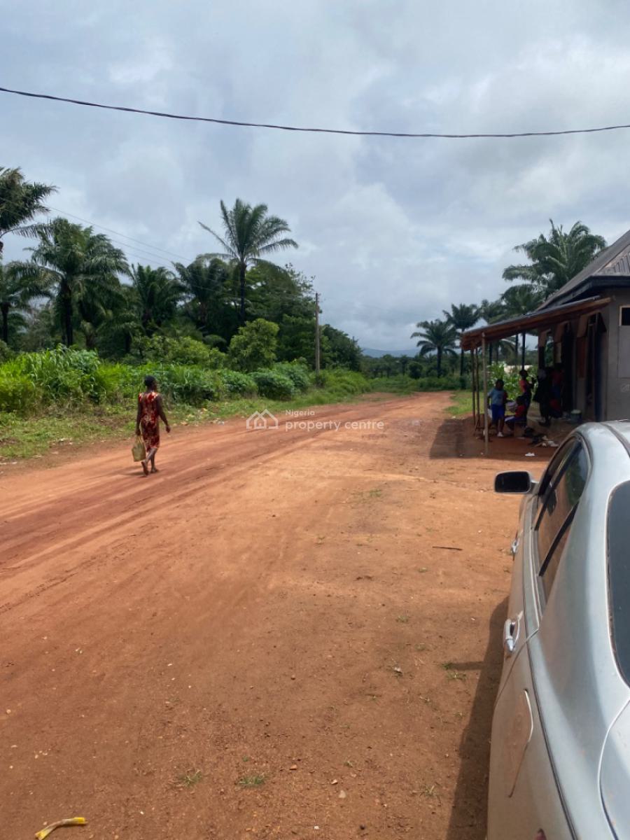 Fast Selling Affordable Lands, Nuakh Estate Ogbeke Nike, Enugu, Enugu, Residential Land for Sale