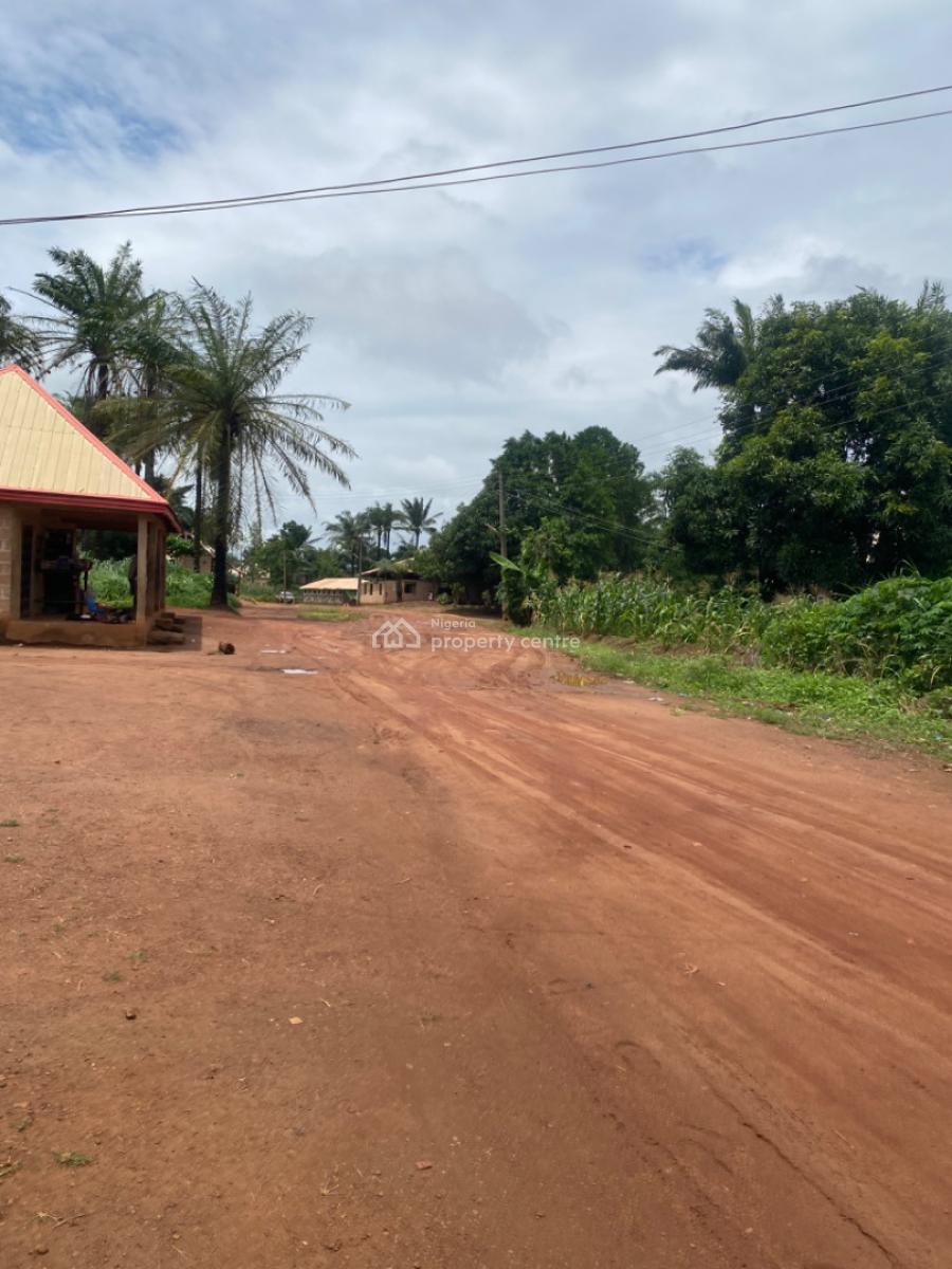 Fast Selling Affordable Lands, Nuakh Estate Ogbeke Nike, Enugu, Enugu, Residential Land for Sale