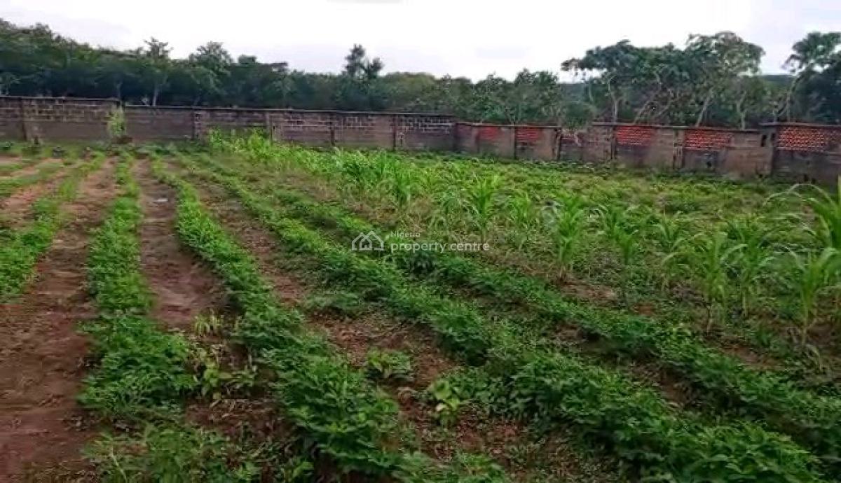 Prime Residential Flat Land* in a High-demand, Fast-developing Area, Jabi Dakibiyu Abuja, Jabi, Abuja, Residential Land for Sale