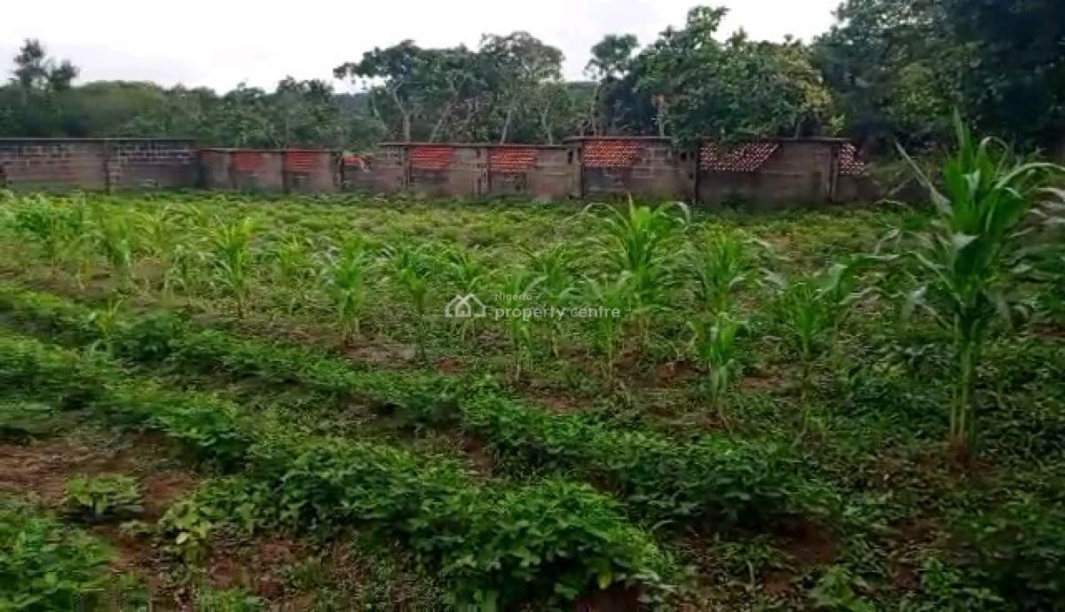 Prime Residential Flat Land* in a High-demand, Fast-developing Area, Jabi Dakibiyu Abuja, Jabi, Abuja, Residential Land for Sale