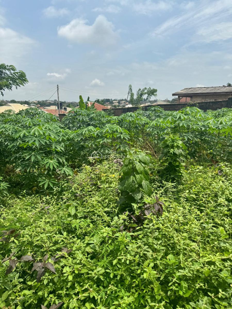 2 Plots (1,200sqm) at Agbofieti, Jericho Extension, Ibadan, Agbofieti, Jericho Extension Ibadan, Jericho, Ibadan, Oyo, Residential Land for Sale