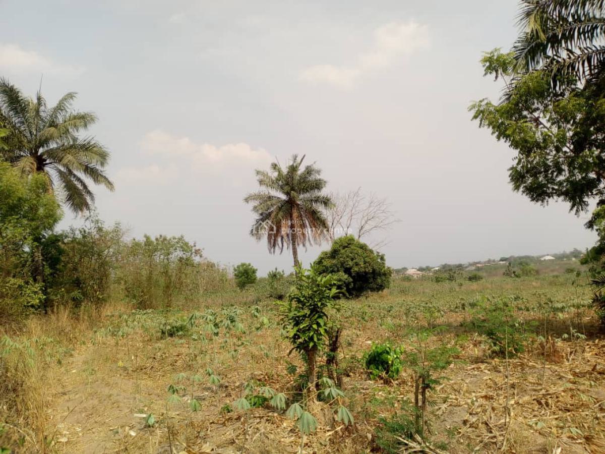 Farm Land Available, Apata, Ido, Oyo, Industrial Land for Sale