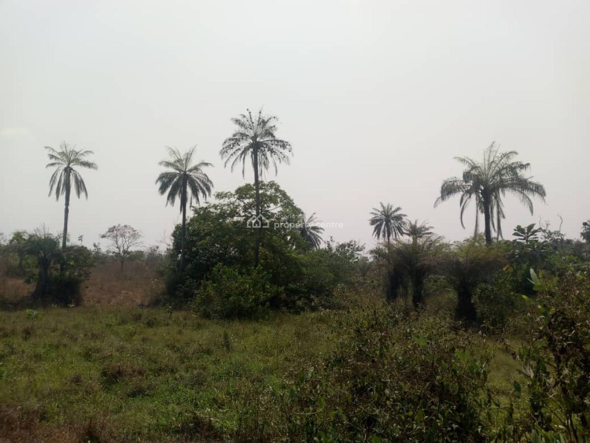 Farm Land Available, Apata, Ido, Oyo, Industrial Land for Sale