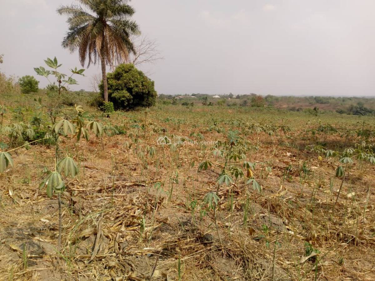 Farm Land Available, Apata, Ido, Oyo, Industrial Land for Sale