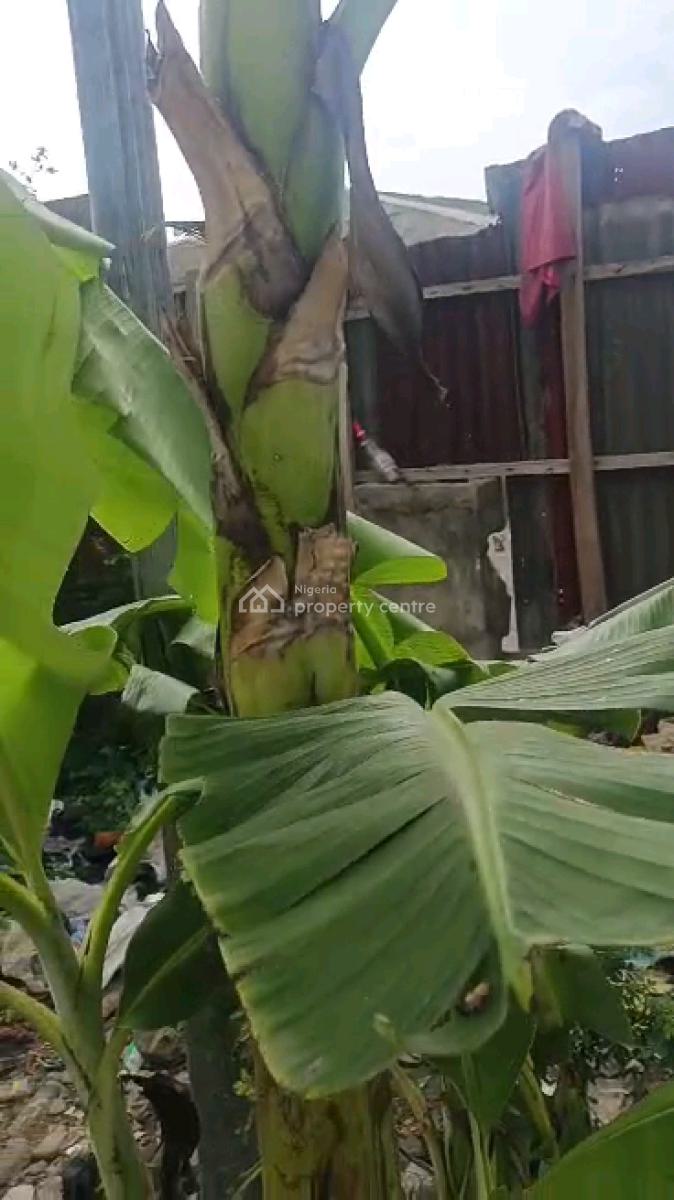 Dry Empty Full Plot of Land, Jibowu, Yaba, Lagos, Land for Sale