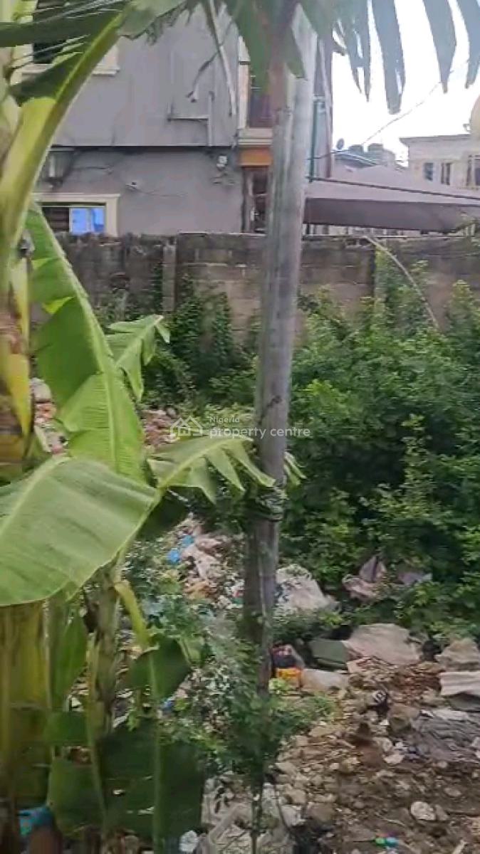 Dry Empty Full Plot of Land, Jibowu, Yaba, Lagos, Land for Sale