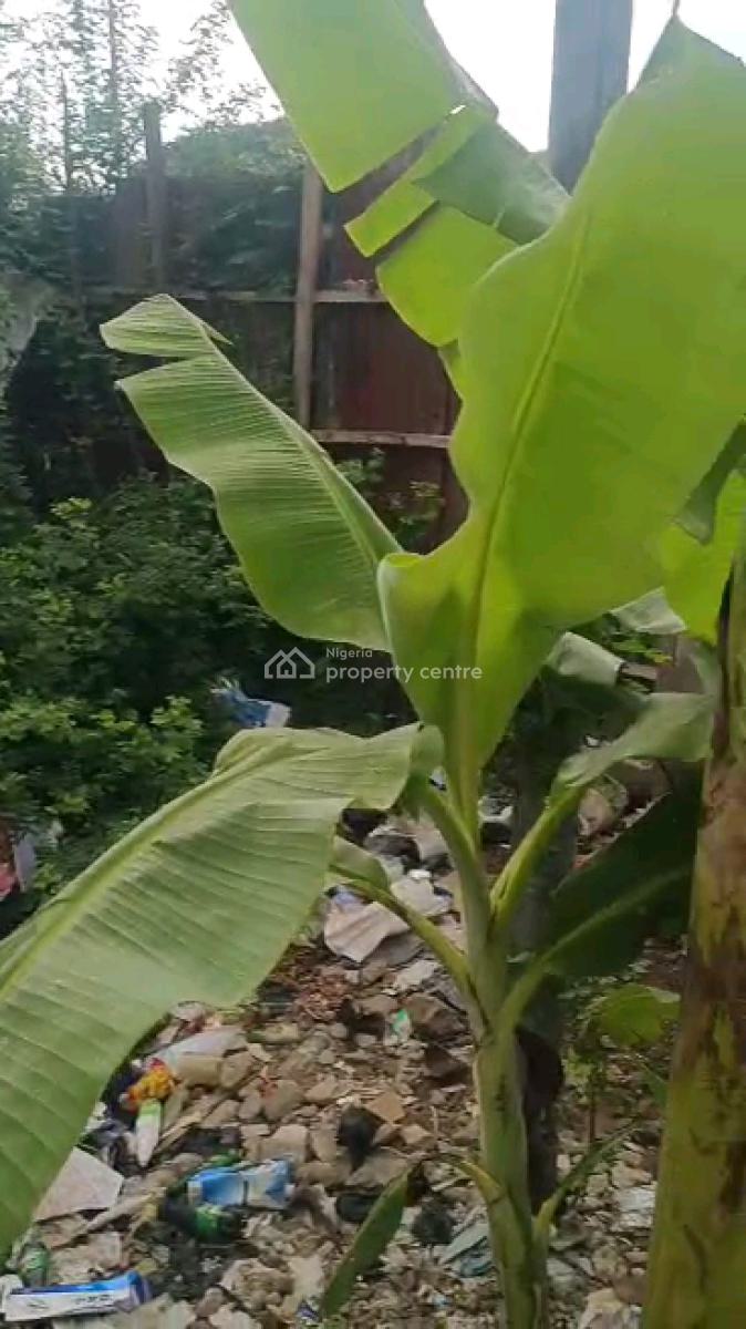 Dry Empty Full Plot of Land, Jibowu, Yaba, Lagos, Land for Sale