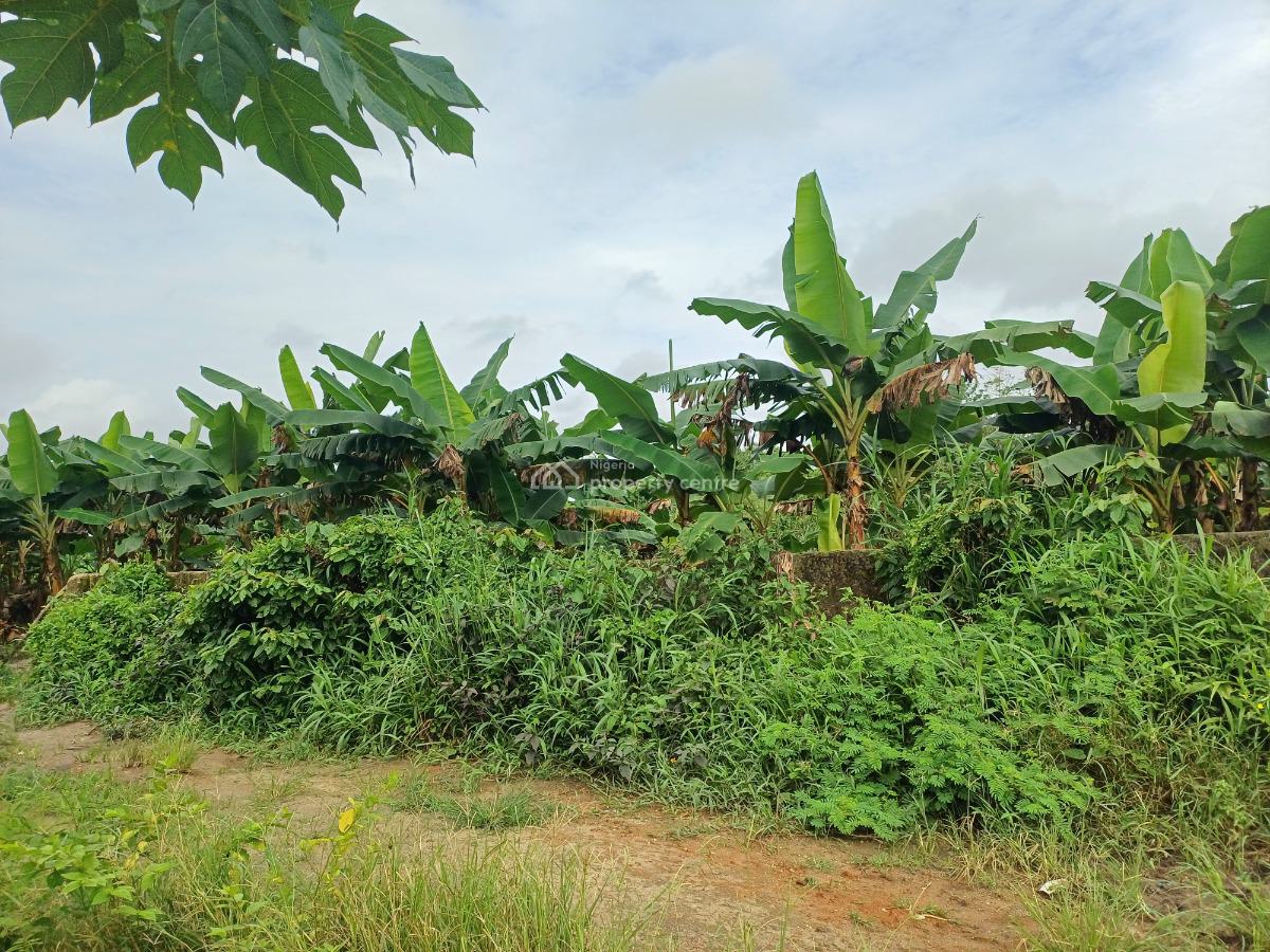 Buy and Build 2 Plots of Land, Obirikwere-airport Road, Port Harcourt, Rivers, Residential Land for Sale