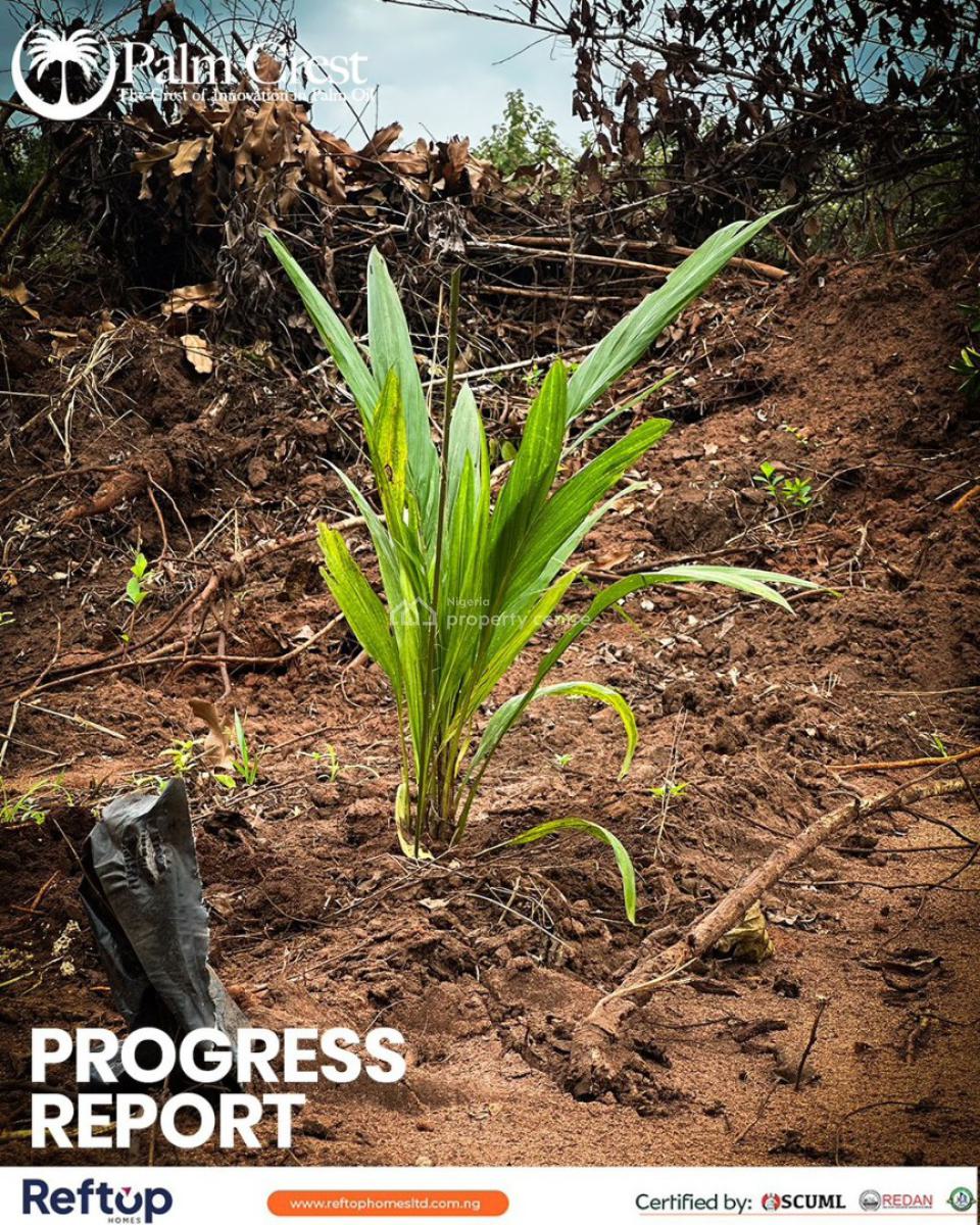 Govt Approved Palm Oil Investment, Palm Crest Estate Imeko-afon Local Government Area, Imeko Afon, Ogun, Commercial Land for Sale