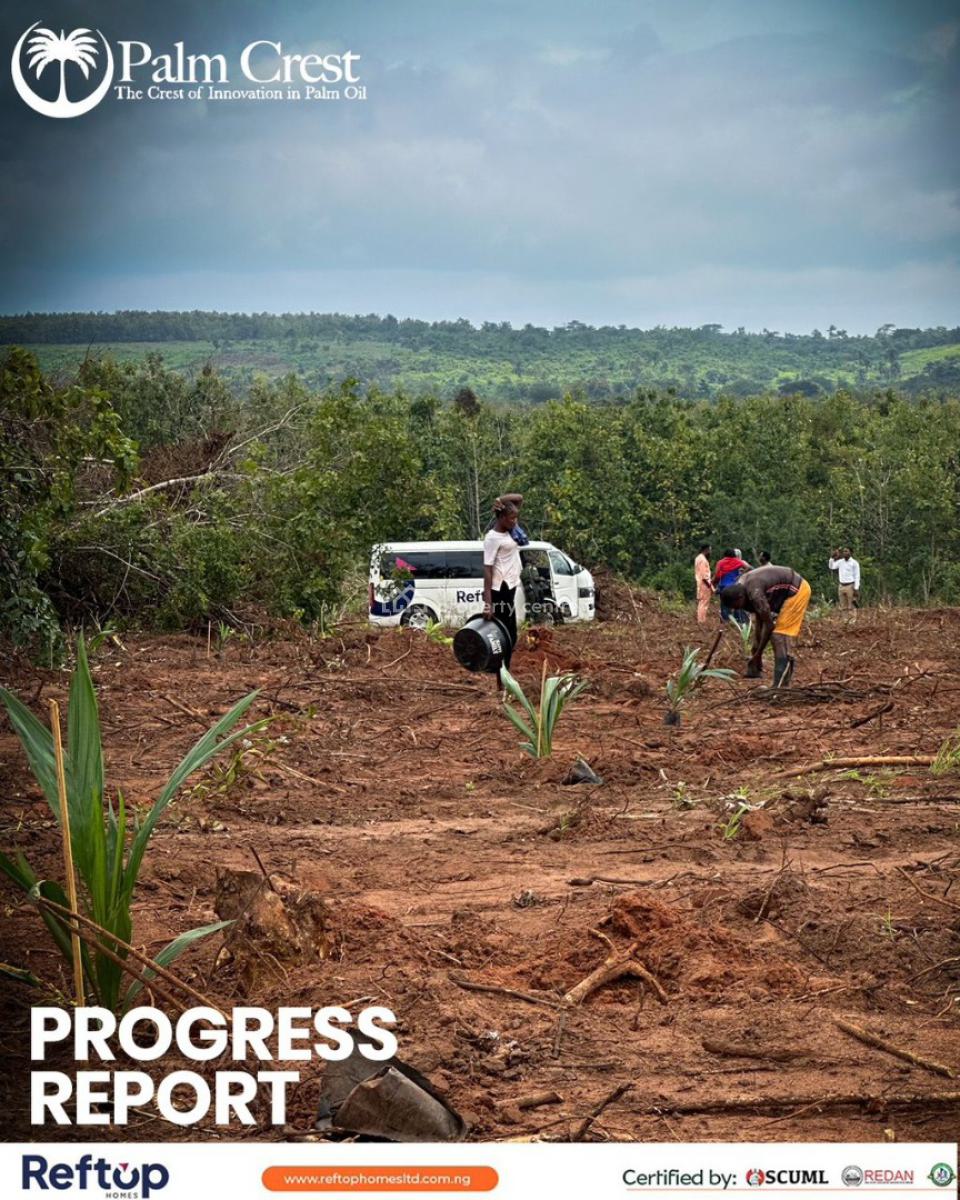 Govt Approved Palm Oil Investment, Palm Crest Estate Imeko-afon Local Government Area, Imeko Afon, Ogun, Commercial Land for Sale